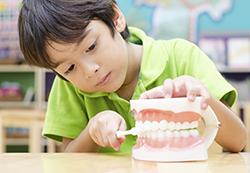 Young boy brushing a model of teeth