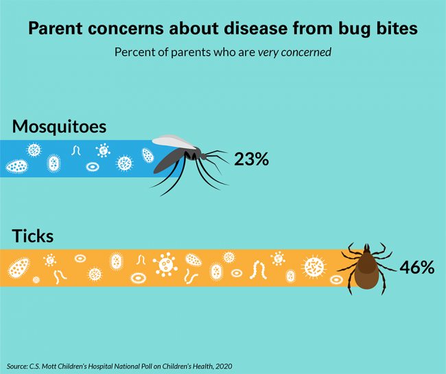 Parent concerns about diseases from bug bites