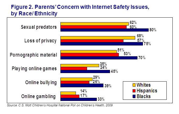 Parents' concern with Internet safety issues, by race/ethnicity