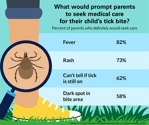What would prompt parents to seek care for their child's tick bite?